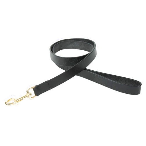Shires Digby & Fox Flat Leather Dog Lead (Black, Large)