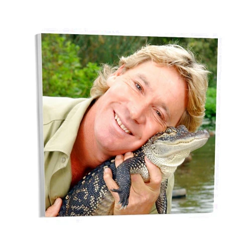 HIUBVCMML Environmental Activist Steve Irwin And Animals Live in Harmony Art Poster (1) Wall Poster Art Canvas Printing Gift Office Bedroom Aesthetic Poster 12x12inch(30x30cm) Unframe-style