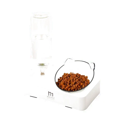Marchul Tilted Cat Bowl Set for Food and Water, Food Feeding Raised Dishes for Puppies