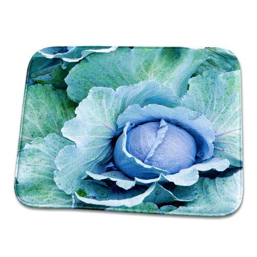 3dRose Dish Drying Mat - Cabbage, Harlow Farm, Westminster, Vermont - US46 JMO0327 - Jerry and Marcy Monkman Farms
