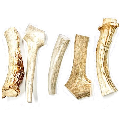 HEARTY CHEWS 100% Natural Deer Antlers for Dogs | Organic Grade A Premium Antler Dog Bone | Supports Teeth & Gum Health | Long Lasting Dog Treat Puppy Toy - 1 LB Bag (About 3-5 inch Pieces)