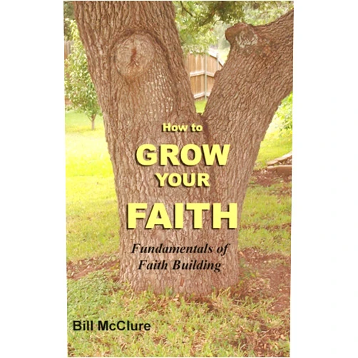 Bill McClure How to Grow Your FAITH: Fundamentals of Faith Building