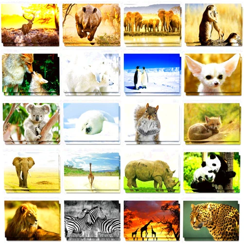 Outus 60 Pieces Wild Animal Postcards Animal Themed Blank Postcards Pandas Lions Polar Bears Penguins Elephants Giraffes Animal Greeting Postcards for Kids Teachers, 4 x 6Inches, 20 Styles