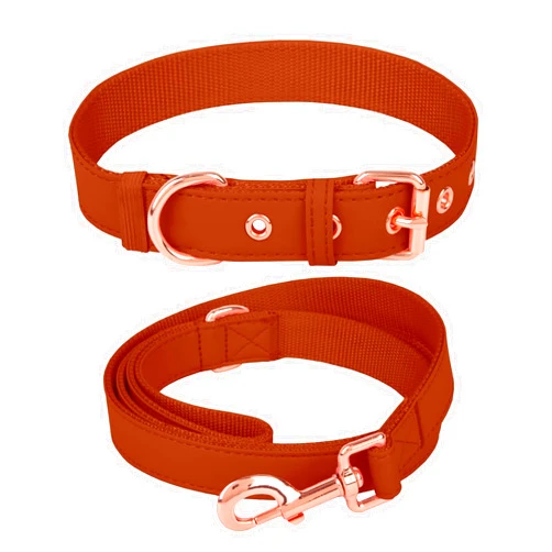 Heydoggy Dog Collar and Leash Set, Soft Leather Dog Collar with Rose Gold Adjustable Metal Buckle [Easy to Clean], Durable 5FT Leash Heavy Duty Nylon for Girl Boy Puppy Small Medium Large Pet Dogs Brown XS