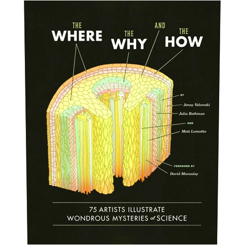 Matt Lamothe,Julia Rothman,Jenny Volvovski,David Macaulay The Where, the Why, and the How: 75 Artists Illustrate Wondrous Mysteries of Science