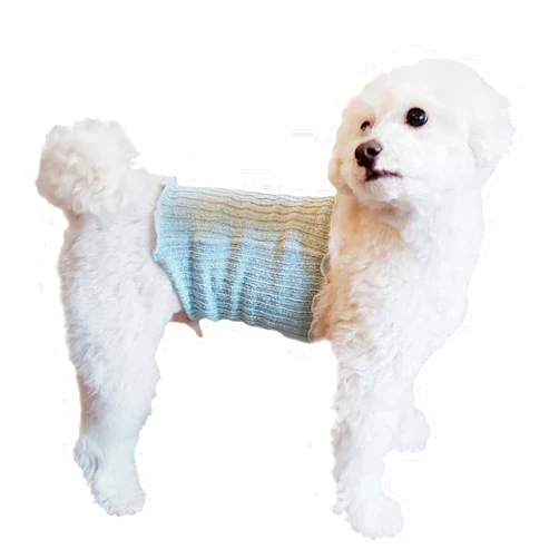 Panfree Pancia Silk Pet Belly Warmer (M, Pink)