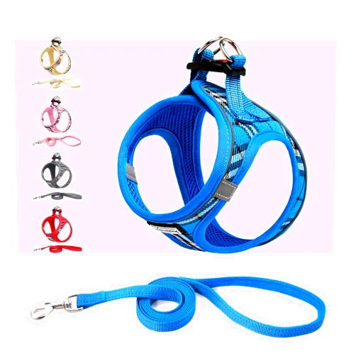 Suredoo Dog Harness and Leash Set, Step-in Breathable Reflective Puppy Cat Dog Vest Harnesses for Small Medium Dogs (Blue Plaid, XXS)