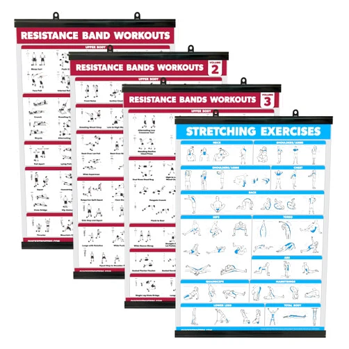 Palace Learning 4 Pack - Resistance Bands Workout Posters Volume 1, 2 & 3 + Stretching Exercise Chart