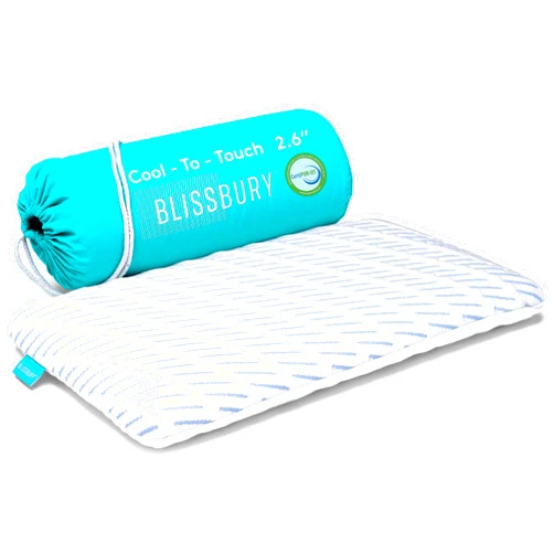 BLISSBURY Cooling Memory Foam Pillow, 2.6 Inch Thin, for Stomach & Back Sleeper, Queen Size, Removable Cool-Tech Cover, CertiPUR-US Certified