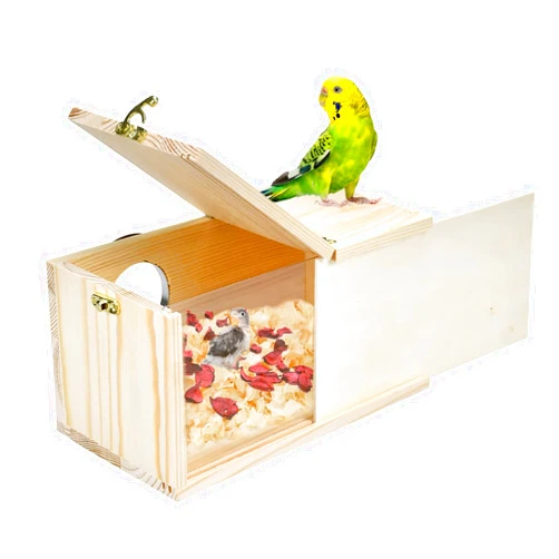 CooShou Parakeet Nesting Box Cockatiel Nesting Natural Pine Bird Nest Bird Breeding Box House Acrylic Transparent Bird Box with Detachable Wooden Board for Lovebirds Cockatiel Budgie Conure Parrot S