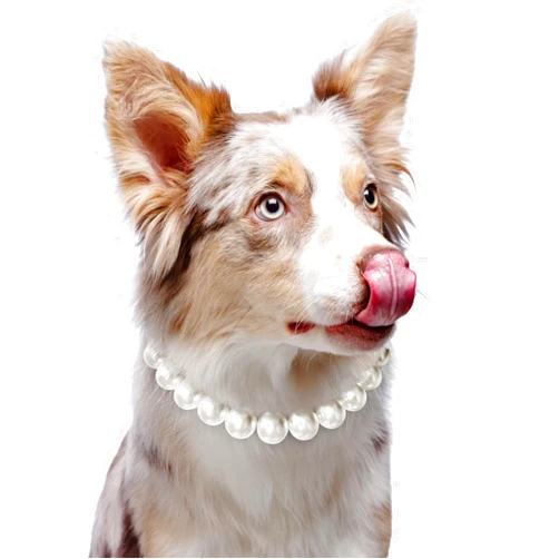 KUDES Exquisite and Adjustable Dog Necklace: Elegant Classic Pearl Collar Necklace Accessories for Dogs, Occasions and Gatherings (L(14.1-16.1 Inches))