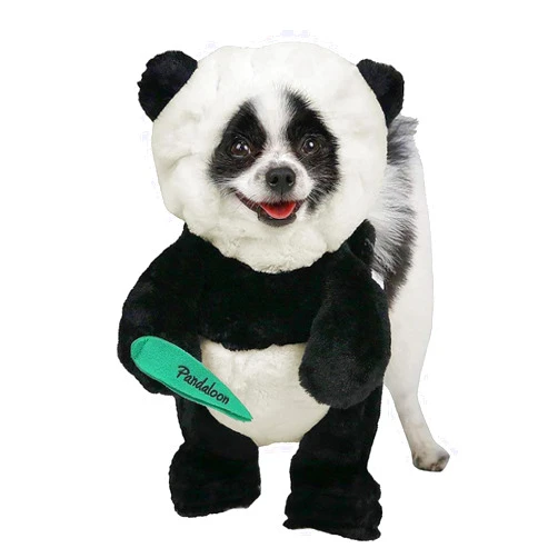 Pandaloon Dog Halloween Costume - As Seen on Shark Tank - Patented - Funny Costume with Arms for Small and Medium Dogs and Cats (Panda, Size 5 Long(26-30 in Height at The TOP of Head))