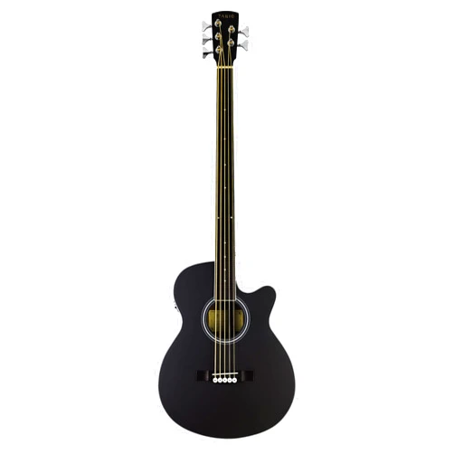 TARIO Fretless 5 String Electric Acoustic Bass spruce top Mahogany back & sides (Fretless)