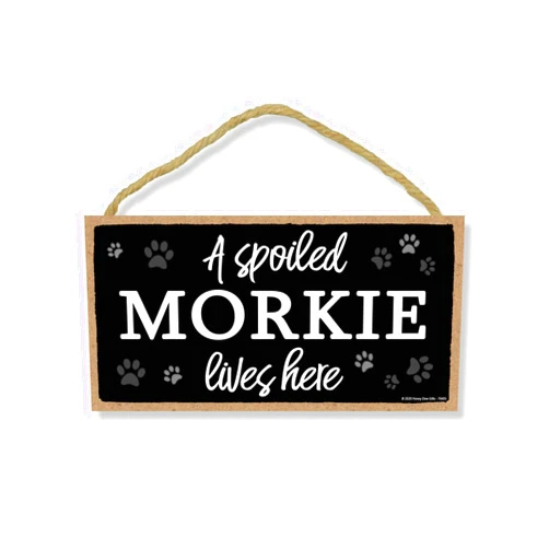 Honey Dew Gifts A Spoiled Morkie Lives Here, Funny Wooden Home Decor for Dog Pet Lovers, Hanging Wall Decorative Sign, 5 Inch by 10 Inch, 76405