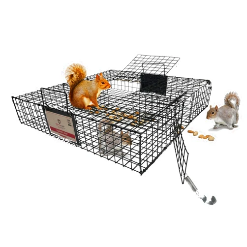 PREDATORGUARD Predator Guard Squirrel Guard Trap - Humane Multi-Catch Trap, Attracts & Catches Multiple Squirrels in 1 Trap - Perfect for Indoor and Outdoor Use - Effective Squirrel Control to Protect your Property