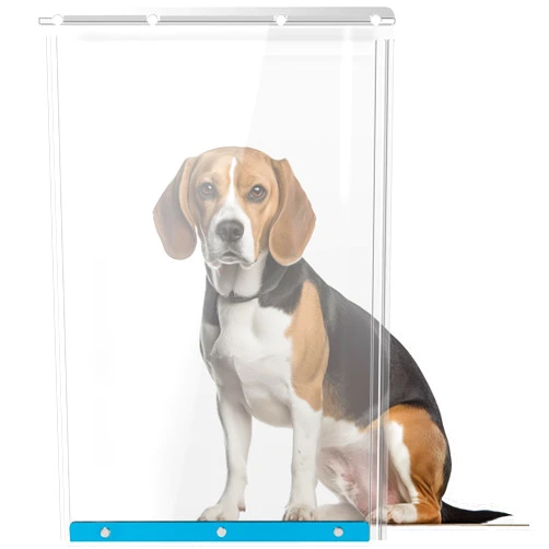 Wordcam XL Dog Door Replacement Flaps,Compatible with Ideal Pet Products Designer Series DSPRFXL RFXLN, Measures 10 1/2