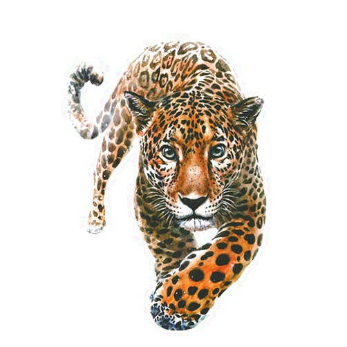 Ceresa Inc Tiger Head Heat Transfer Iron on Patch Sticker for Coat Jacket Sweater Jeans Backpack Clothing DIY Decoration A-Level Washable Decals Leopard Print Tiger Environmental Protection Decoration Applique