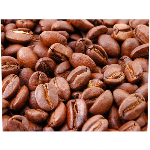 Blue Mountain Panamanian Geisha - Hacienda La Esmeralda - 1 lb (16 oz/454 g) - Roasted to Order