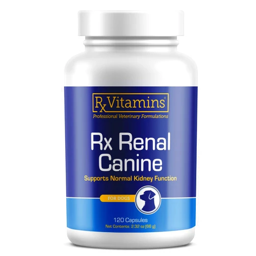 Rx Vitamins Rx Renal Canine Kidney Support for Dogs - Milk Thistle Extract, Green Tea, & Cordyceps Capsules for Dogs - Dog Kidney Support Supplement - 120 ct