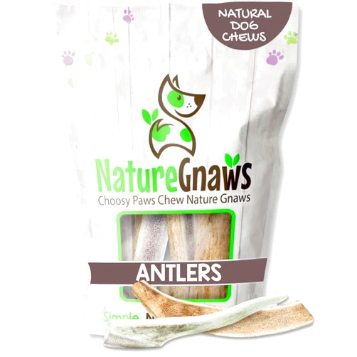 Nature Gnaws Antlers for Dogs (8oz) - Mix of Elk and Deer Antler - Variety of Split and Whole Pieces - Long Lasting for Aggressive Chewers and Large Dogs