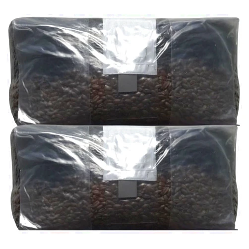 MushroomSpawnStore.com 6 Pound Mushroom Grow Bag - All in One Grow Kit in A Bag - Sterilized Grain Spawn and Bulk Substrate - Injector Port (Pack of 2)