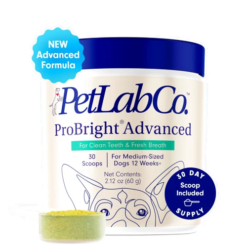 PetLab Co. ProBright Advanced Dental Powder - Dog Breath Freshener - Teeth Cleaning Made Easy – Targets Tartar & Bad Breath - Formulated for Medium Size Dogs