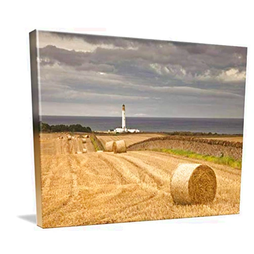 Imagekind Canvas Wall Art Print entitled Barns Ness Lighthouse Along The Coast Cove Lothia by Design Pics | 16 x 11