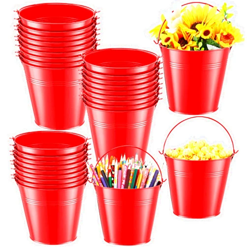 Rtteri 24 Pcs Metal Bucket Small Party Favor Buckets with Handle 6 x 5 Inch Flower Pot Plant Basket Mini Containers for Crafts Candy(Red)