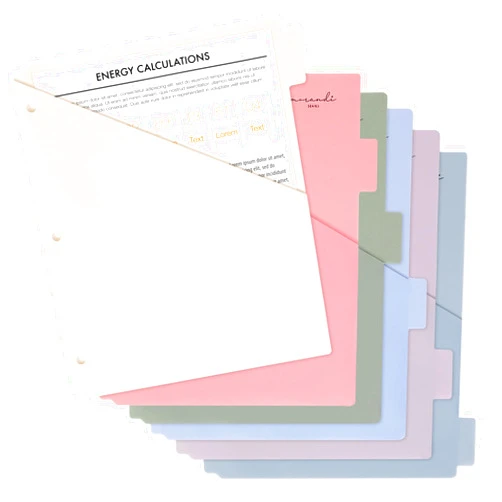 H4D 6-Tab Dividers for 3 Ring Binder, Plastic Dividers with Two Pockets, Letter Size, Morandi Colors, 1 Set