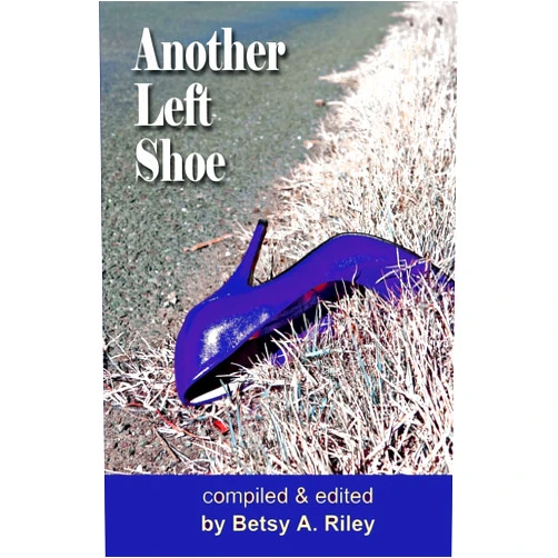 Betsy A Riley,Dan Marvin,Eve Gaal,Laura Rittenhouse,Annaliese Harris,Sara Van der Wansem,Nancy Clark Townsend,Ronnie Dauber,Padma Narayanaswamy,Timothy Hurley Another Left Shoe