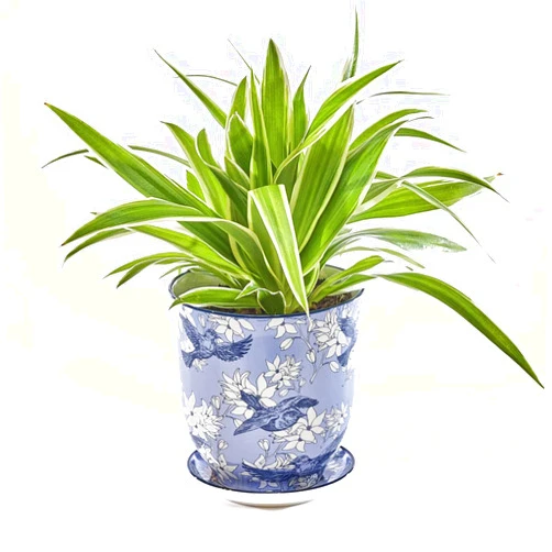 CHIVE ‘Liberte’ Ceramic Succulent Pots — 4.25” Cute Vintage Farmhouse Style Planters for Indoor Plants — Beautiful Home & Kitchen Decor — Blue Swallows