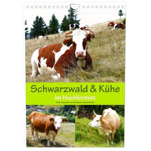 CALVENDO Schwarzwald und Kühe im Hochformat (Wandkalender 2025 DIN A4 hoch), CALVENDO Monatskalender [Calendar] Goldscheider, Biothemen