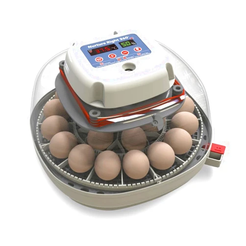 Harris Farms Nurture Right Egg Incubator for Hatching Chicks, Holds 12-22 Eggs, Automatic Turner with Temperature and Humidity Control, 360 Degree View with Clear Window, Incubator for Chickens