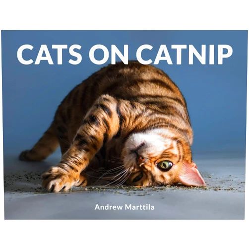 By Andrew Marttila (Author) Cats on Catnip
