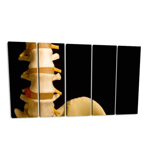 KiiAmy 5 Panels Art Wall Decor Human Spine Pelvis Chiropractic Orthopedic Medical Model Heathcare Artwork Modern Canvas Prints Office Bedroom Home Decor Framed Painting Ready to Hang (60''Wx32''H)