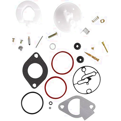 QINCUN Carburetor Repair Kits Replacement for Briggs & Stratton 796184 Master Overhaul Nikki Carbs