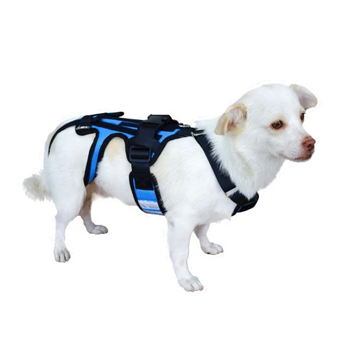 OShuKang Dog Back Brace for Dogs, Hip Brace Support for Pet, Back Brace for Dogs with IVDD, Surgery Recovery and Rehabilitation, Dog Back Disease Rrevention(M)