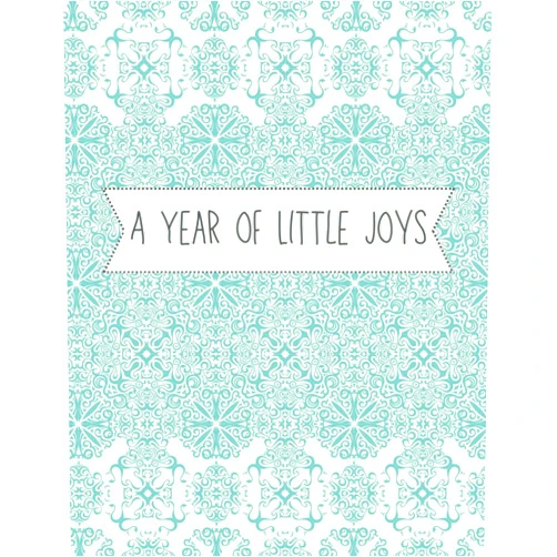 Amy S Goodman A Year of Little Joys