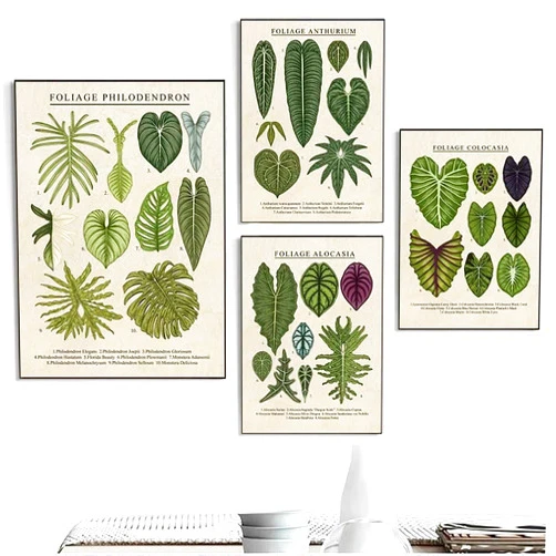 Sfwarmart Foliage Philodendron Plant Canvas Paintings Anthurium Posters and Prints Wall Art Pictures for Living Room Decoration Cuadros 8x10Inchx4pcs Unframed