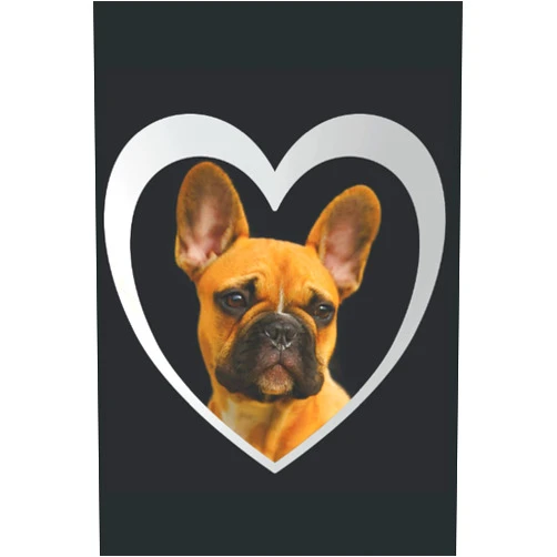 Peter Hunde Hundeliebe Notizbuch - Französische Bulldogge - liniertes Hunde Notizbuch - 120 ... | ca. DINA5 | Geschenk für Hundefans (German Edition)