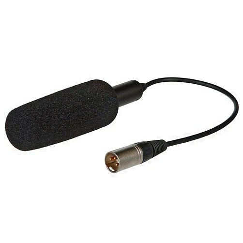 Panasonic AGMC200G Unidirectional Microphone (Black)
