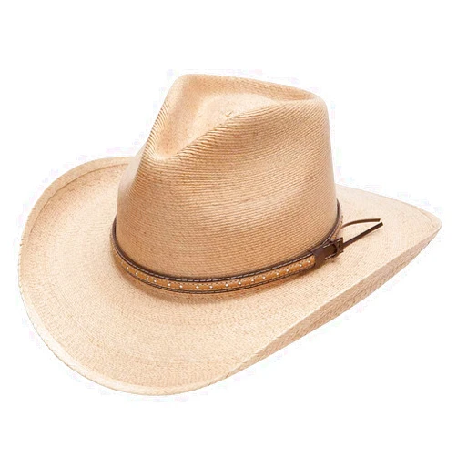Stetson Men's Sawmill Hat