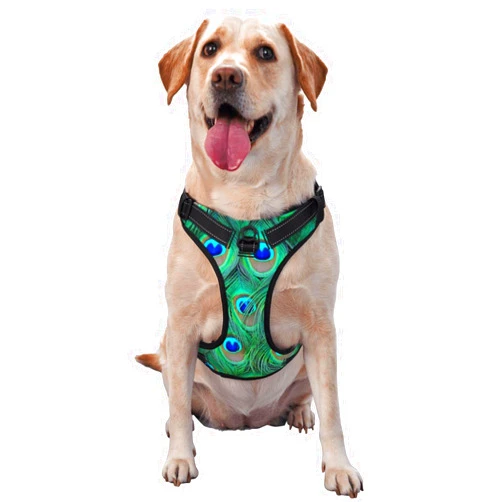 Aiyoolee Dog Vest No Pull Dog Safety Harness with Leash Clip Set, Reflective Breathable Pet Vest Adjustable Fit for Puppy Dog Pet Training Walking, Adorable Green Peacock Dog Harness