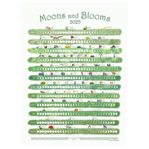 Celestial Products Lunar Calendar 2025, Moons, Blooms
