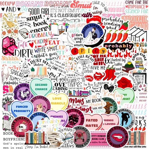 Reppray Spicy Book Stickers,Romance Bookish Stickers,Book Stickers for kindle,Smut Stickers,Book Lovers Gifts(100 Pack)
