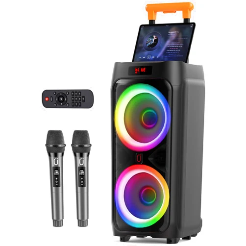 JYX Karaoke Machine with 2 Wireless Microphones for Adults, 8
