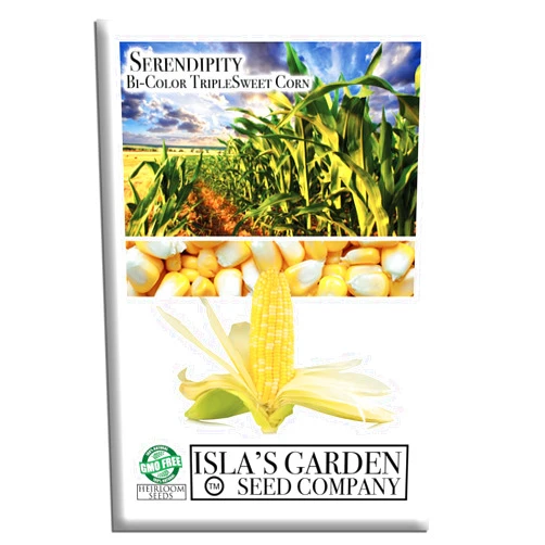 Isla's garden seeds 'Serendipity' Triple Sweet Corn Seeds (Zea mays) – 100+ Non-GMO & Heirloom Seeds by Isla’s Garden Seeds, Sweet, Juicy, Tender Bi-Color Kernels w/High Yields, for Home Gardens & Fresh Summer Eating