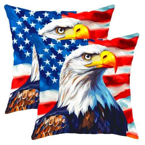 Generic Eagle Pillow Covers Set of 2, Patriotic Bald Eagle Print Throw Pillow Cases, Americana Decorative Square Cushion Covers for Home Sofa Bed Couch, 4th of July Farmhouse Decor 20x20 Inch