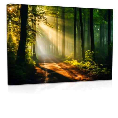 ZXHYWYM Green Forest Canvas Wall Art Sunshine Through Forest Road Picture Prints Morning Sunrise Paintings Nature Landscape Wall Decor Framed(3, (12.00