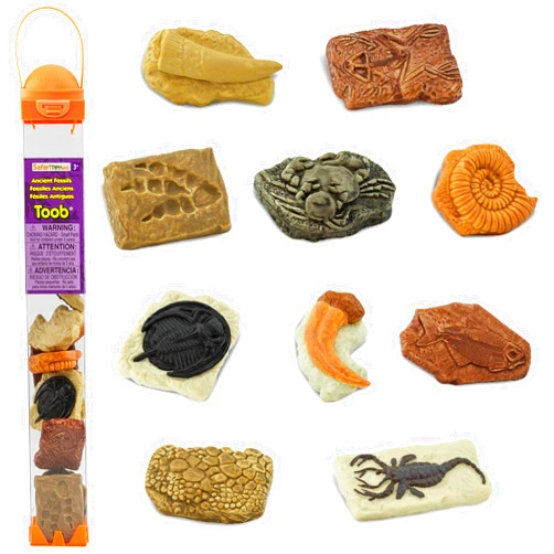 Safari Ltd. Ancient Fossils TOOB - Figurines: Dino Footprint, Giant Crab, Ammonite, Raptor Claw, T-Rex Tooth, Frog Skeleton, Sea Scorpion & More - Educational Toys for Boys, Girls & Kids Ages 3+